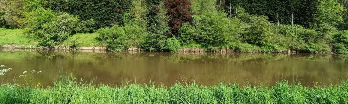 {{brizy_dc_image_alt entityId=