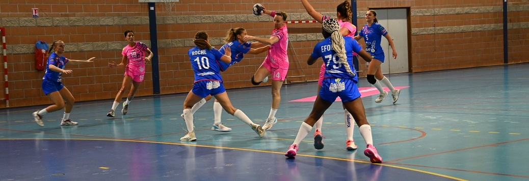 SAHB handball aulnoye aymeries