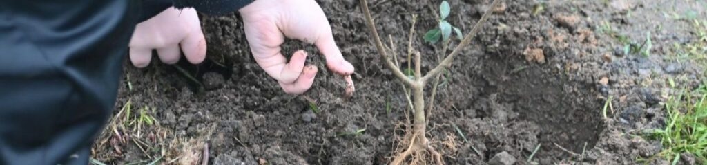 A découvrir - chantiers participatifs