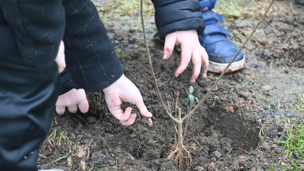 chantiers participatifs