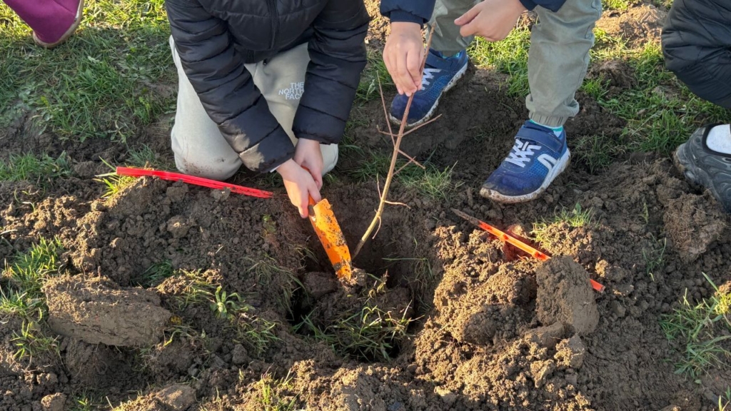 chantiers participatifs maubeuge Planteurs volontaires