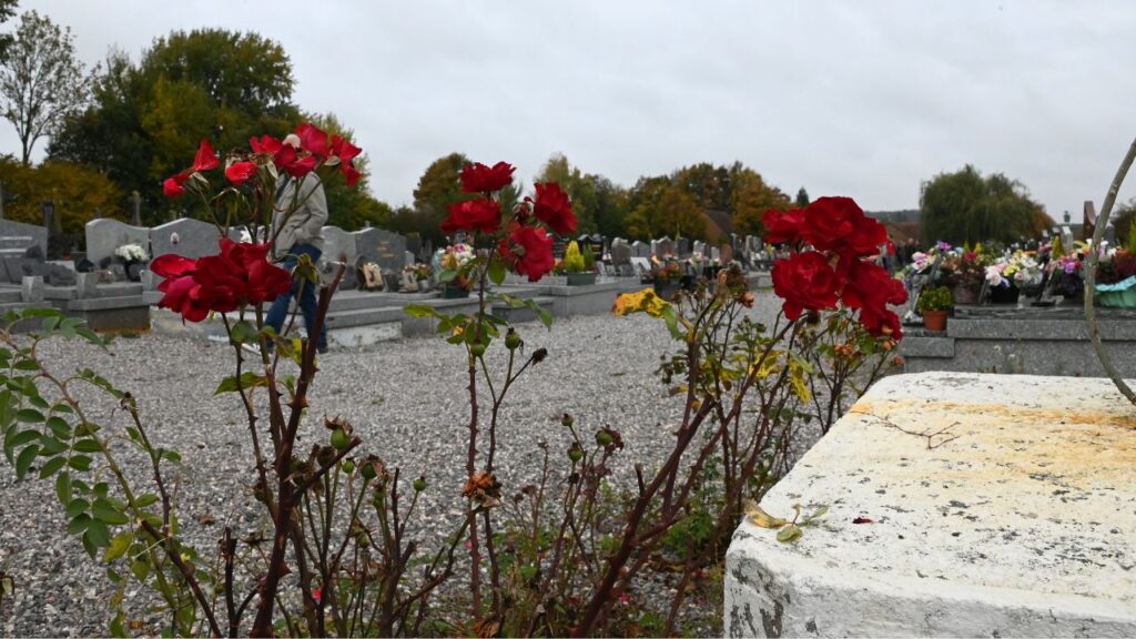 cimetière nature - Ferrière-la-Petite