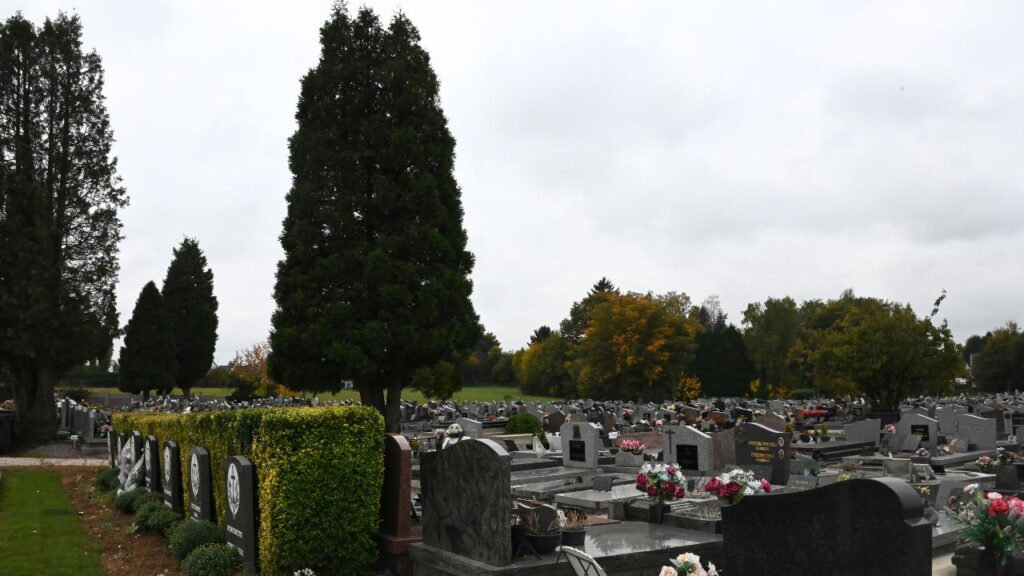 cimetière nature - Hautmont