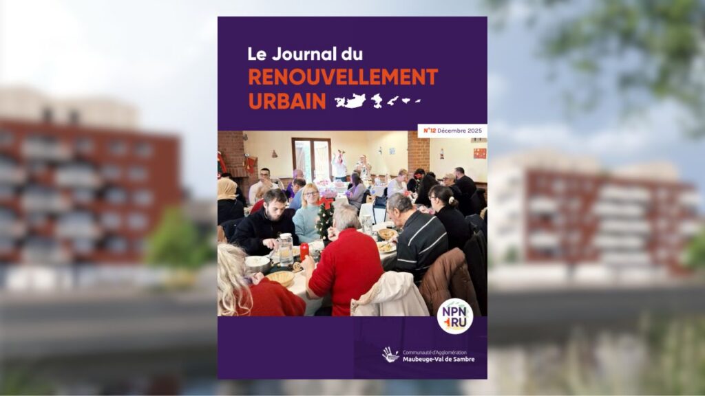 Journal du Renouvellement Urbain n°12