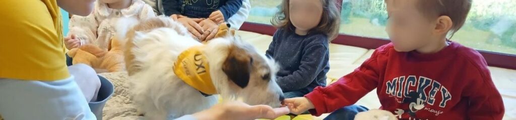 A lire aussi - Médiation animale à la micro-crèche L'île des Lutins