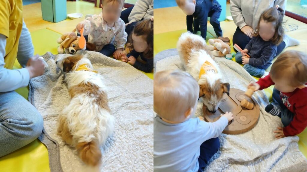 médiation animale crèche L'île aux lutins