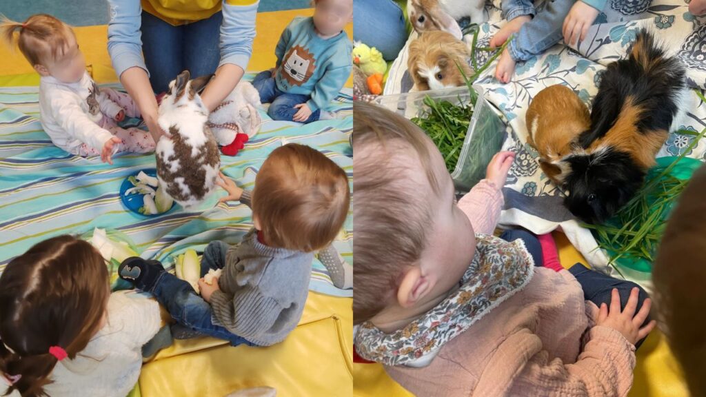 médiation animale crèche L'île aux lutins Colleret