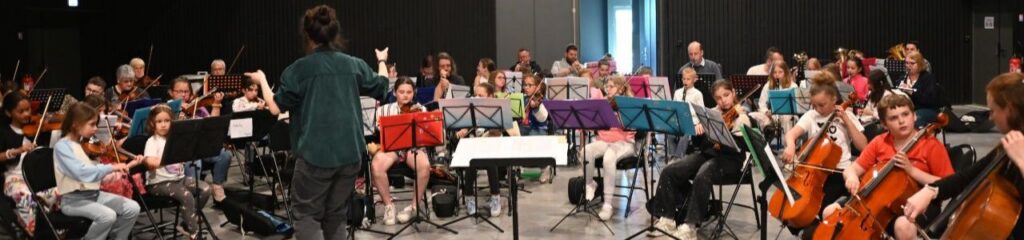 A découvrir -Orchestre DEMOS