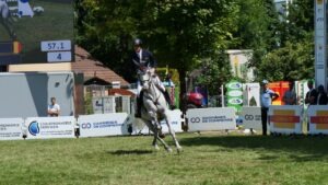 Jumping International Maubeuge (3)