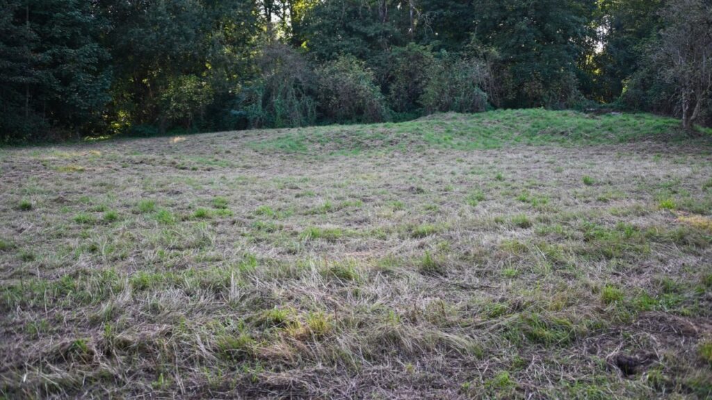 fauche milieux humides et prairies en zones naturelles