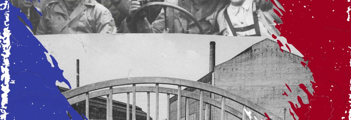 {{brizy_dc_image_alt entityId=