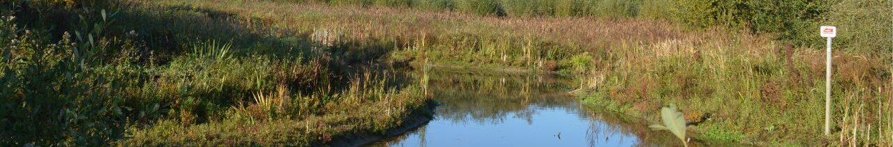 Agglo Maubeuge Val de Sambre - Entretien et gestion des cours d'eau