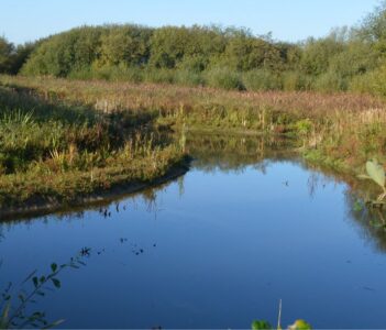 Agglo Maubeuge Val de Sambre - Entretien et gestion des cours d'eau