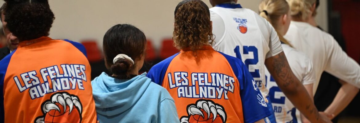 As Aulnoye Basket As Aulnoye Basket