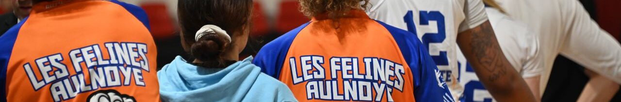 As Aulnoye Basket As Aulnoye Basket