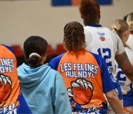 As Aulnoye Basket