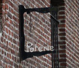 {{brizy_dc_image_alt entityId=