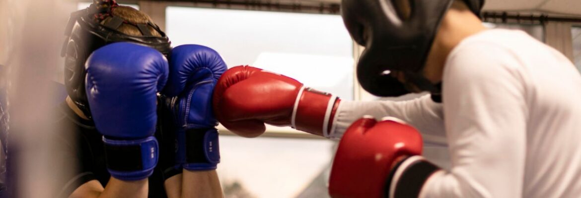 Championnat de France de Savate Boxe Française {{brizy_dc_image_alt entityId=