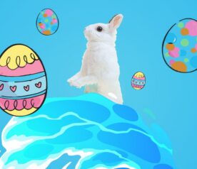 Chasse aux œufs - Épinette Maubeuge