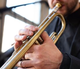 {{brizy_dc_image_alt entityId=