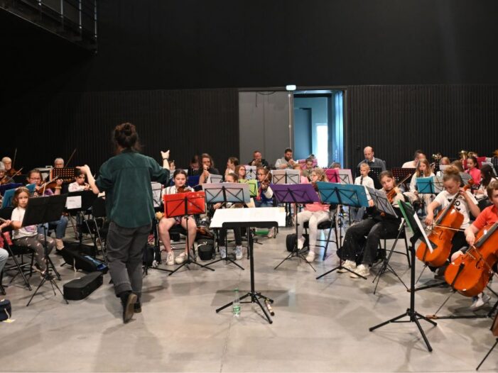 DEMOS un orchestre pour grandir