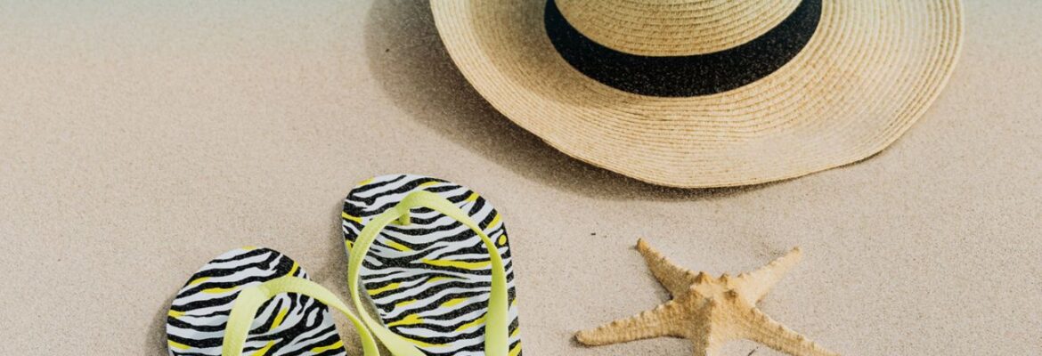 Festival de l'été - Épinette Maubeuge