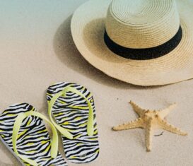 Festival de l'été - Épinette Maubeuge