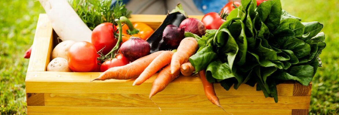 Fiacre et les couleurs du potager à la ferme du zoo - Avesnois activité été 2026 Fiacre et les couleurs du potager à la ferme du zoo - Avesnois activité été 2026