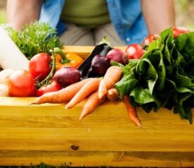 Fiacre et les couleurs du potager à la ferme du zoo - Avesnois activité été 2026 Fiacre et les couleurs du potager à la ferme du zoo - Avesnois activité été 2026