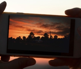 {{brizy_dc_image_alt entityId=