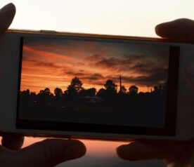 {{brizy_dc_image_alt entityId=