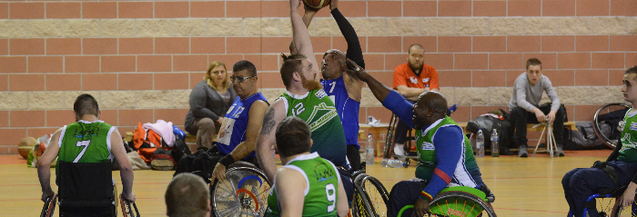 Handi basket