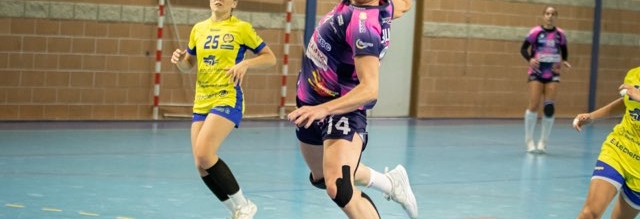 SAHB handball