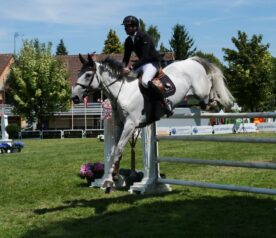 Jumping International Maubeuge (5) Jumping International Maubeuge (5)