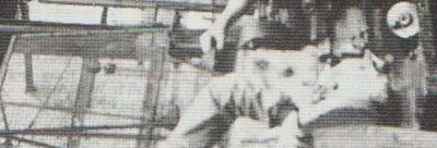 {{brizy_dc_image_alt entityId=