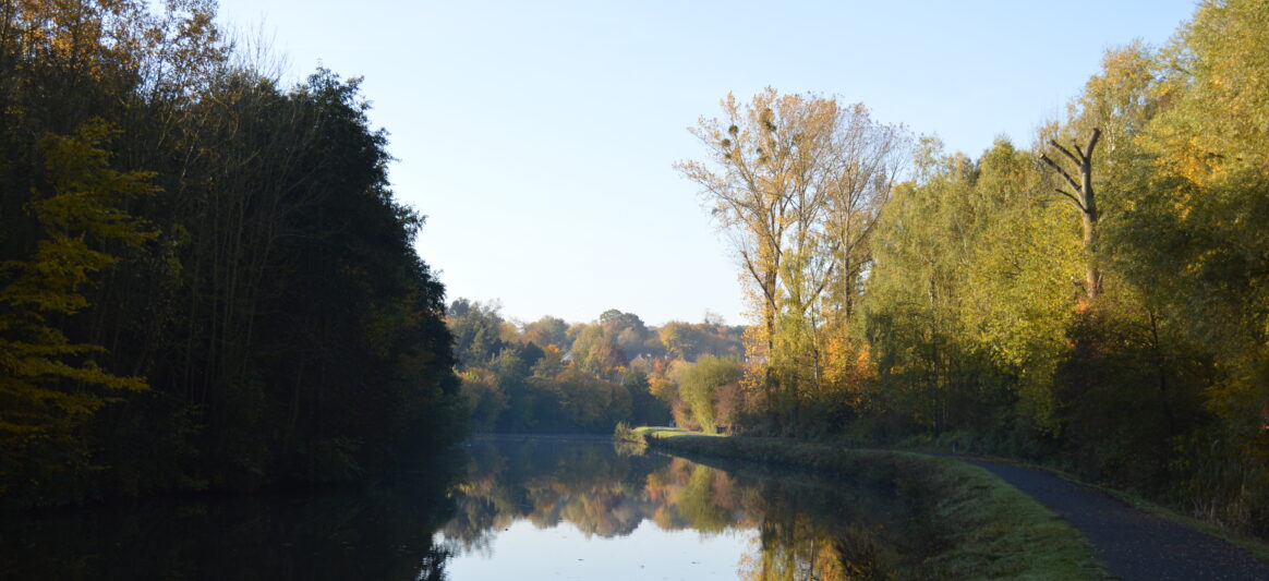 sambre {{brizy_dc_image_alt entityId=