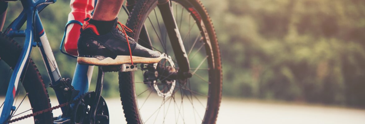 Noyellaise - 20ème édition