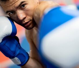 {{brizy_dc_image_alt entityId=