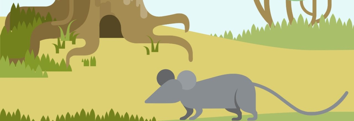 Rat des villes Rat des champs - Médiathèque Aulnoye-Aymeries {{brizy_dc_image_alt entityId=