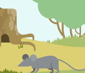 Rat des villes Rat des champs - Médiathèque Aulnoye-Aymeries {{brizy_dc_image_alt entityId=