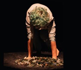 {{brizy_dc_image_alt entityId=