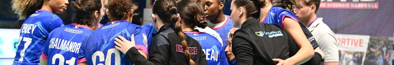 Sambre Avesnois Handball