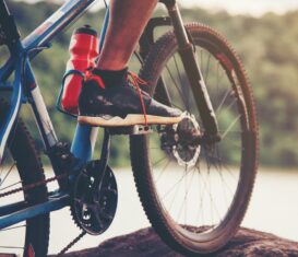 Sambre en Fête(s) Randonnée vélo le long de la Sambre
