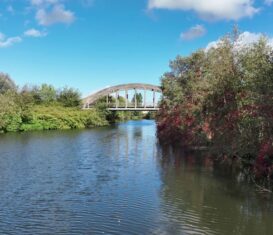 Sambre en fêtes - Berlaimont