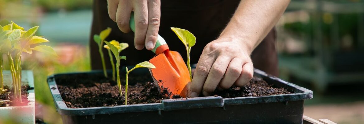 Tous au jardin - Bousignies-sur-Roc