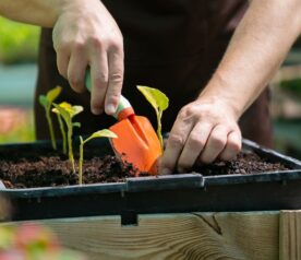 Tous au jardin - Bousignies-sur-Roc