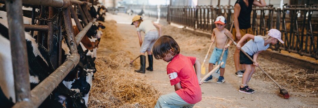 {{brizy_dc_image_alt entityId=