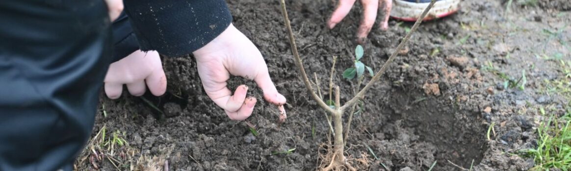 chantiers participatifs