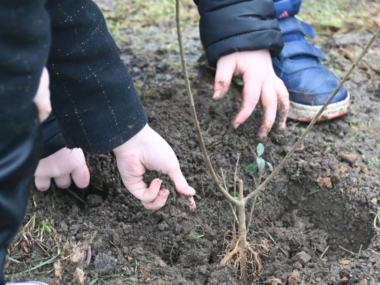 {{brizy_dc_image_alt entityId=