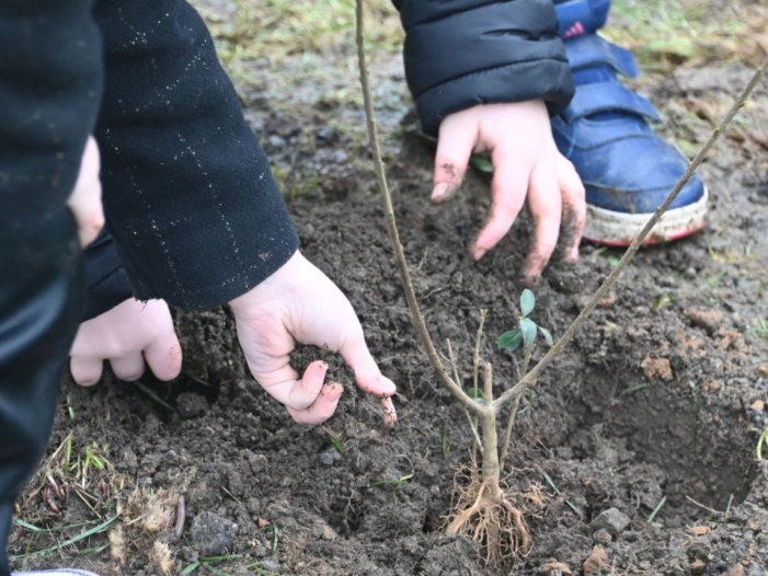 {{brizy_dc_image_alt entityId=